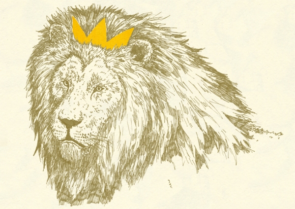 lion